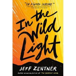 In the Wild Light -- Jeff Zentner